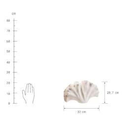 Deko-Objekt Blatt Höhe 21cm GINKGO In Creme 10 Deko-Objekt Blatt Höhe 21cm GINKGO In Creme -Allgemeiner Haushaltswarenladen butlers deko objekt blatt hohe 21cm ginkgo in creme 3