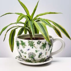 Pflanztasse Lavendelsträuße PLANT A CUP In Weiß 9 Pflanztasse Lavendelsträuße PLANT A CUP In Weiß -Allgemeiner Haushaltswarenladen butlers pflanztasse lavendelstrausse plant a cup in weiss 3