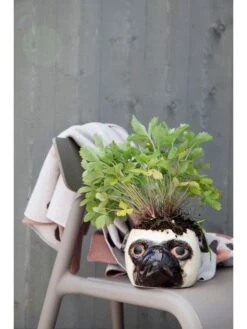 ByOn Blumentopf "Buster" In Beige - (B)14 X (H)15 Cm 5 ByOn Blumentopf "Buster" In Beige - (B)14 X (H)15 Cm -Allgemeiner Haushaltswarenladen byon blumentopf buster in beige b 14 x h 15 cm 1