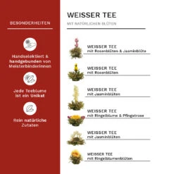 2x 18er Magnet-Präsentbox ErblühTee Grüner Tee "Fruity Flavor" + Weißer Tee 15 2x 18er Magnet-Präsentbox ErblühTee Grüner Tee "Fruity Flavor" + Weißer Tee -Allgemeiner Haushaltswarenladen creano 2x 18er magnet prasentbox erbluhtee gruner tee fruity flavor weisser tee 6