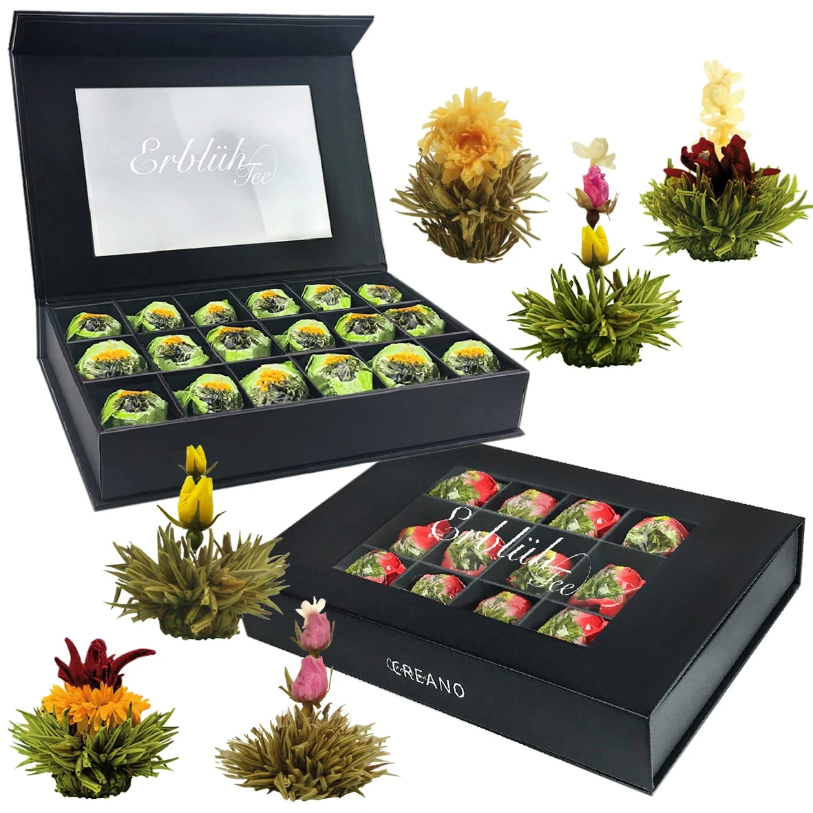 2x 18er Magnet-Präsentbox ErblühTee Grüner Tee "Fruity Flavor" + Weißer Tee 3 2x 18er Magnet-Präsentbox ErblühTee Grüner Tee "Fruity Flavor" + Weißer Tee