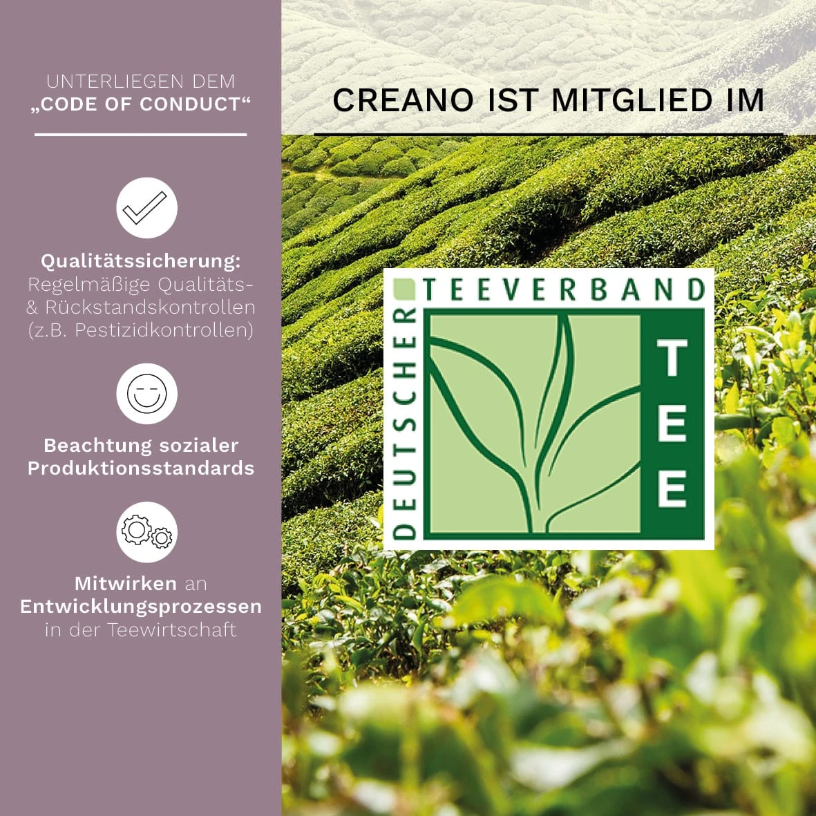 7tlg. Set: Holz-Teekiste + 6 Teeblumen "ErblühTee Schwarzer Tee" 5 7tlg. Set: Holz-Teekiste + 6 Teeblumen "ErblühTee Schwarzer Tee" – Bild 3