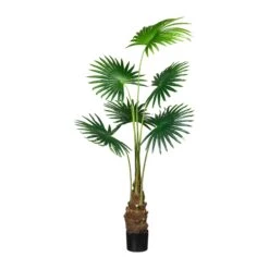 Deko-Pflanze Fächerpalme In Grün