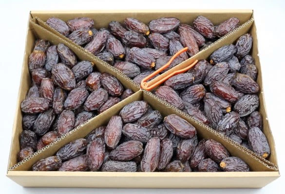 5 Kg Bio Medjool Datteln - JUMBO Größe Aus Palästina 2 5 Kg Bio Medjool Datteln - JUMBO Größe Aus Palästina