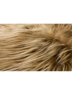 Lammfell In Rostbraun -Allgemeiner Haushaltswarenladen hofbrucker lammfell in rostbraun 2