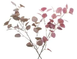 Spar-Set 2x Eukalyptuszweig "Mauve", Ca. Länge 85 Cm In Bunt -Allgemeiner Haushaltswarenladen homeliving spar set 2x eukalyptuszweig mauve ca lange 85 cm in bunt 2