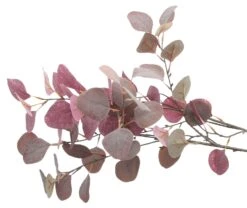 Spar-Set 2x Eukalyptuszweig "Mauve", Ca. Länge 85 Cm In Bunt -Allgemeiner Haushaltswarenladen homeliving spar set 2x eukalyptuszweig mauve ca lange 85 cm in bunt 3