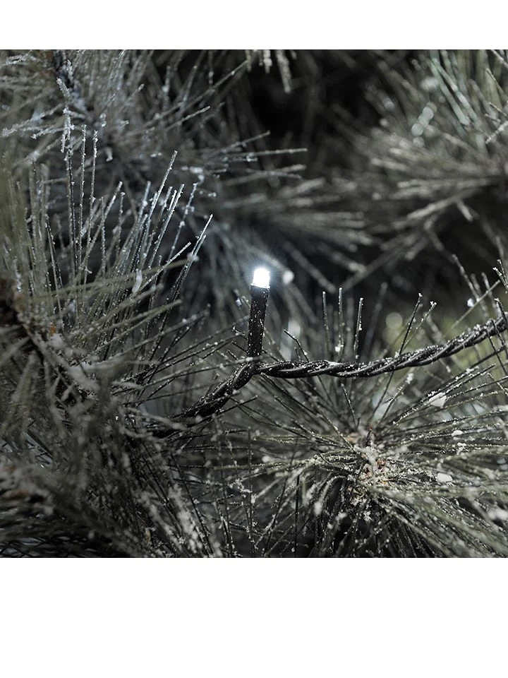 Konstsmide LED-Lichterkette In Kaltweiß - (L)21,5 M 4 Konstsmide LED-Lichterkette In Kaltweiß - (L)21,5 M – Bild 2