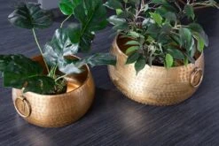 Dekoschale ORIENT In Gold - 37 X 19 X 37cm 15 Dekoschale ORIENT In Gold - 37 X 19 X 37cm -Allgemeiner Haushaltswarenladen riess ambiente de dekoschale orient in gold 37 x 19 x 37cm 3