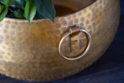 Dekoschale ORIENT In Gold - 37 X 19 X 37cm 16 Dekoschale ORIENT In Gold - 37 X 19 X 37cm -Allgemeiner Haushaltswarenladen riess ambiente de dekoschale orient in gold 37 x 19 x 37cm 4