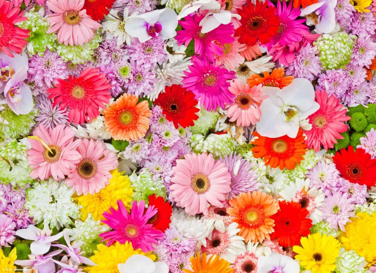 Tischsets I Platzsets "Buntes Schönes Blumenmeer" (L)32 X (B)44 3 Tischsets I Platzsets "Buntes Schönes Blumenmeer" (L)32 X (B)44