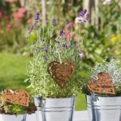 3er Set Aufhänger Rost Herz Mit Blumen In Braun 13 3er Set Aufhänger Rost Herz Mit Blumen In Braun -Allgemeiner Haushaltswarenladen unus 3er set aufhanger rost herz mit blumen in braun 4