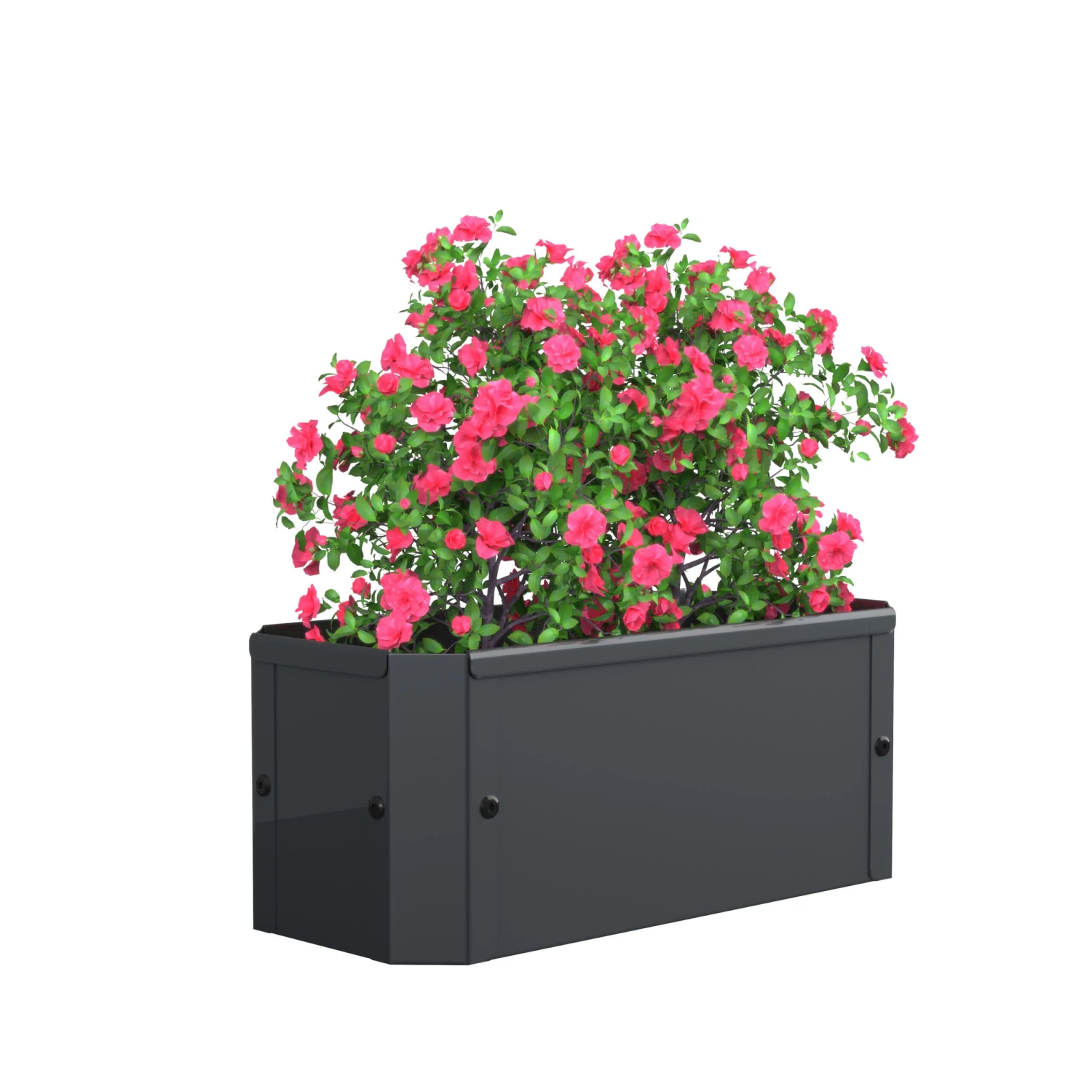 Metall Pflanzkasten Blumentopf 39x18 Balora S In Schwarz 3 Metall Pflanzkasten Blumentopf 39x18 Balora S In Schwarz