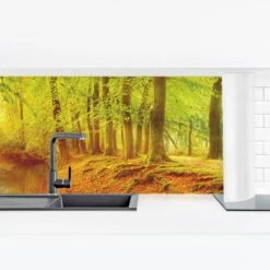 Küchenrückwand - Herbstwald In Orange