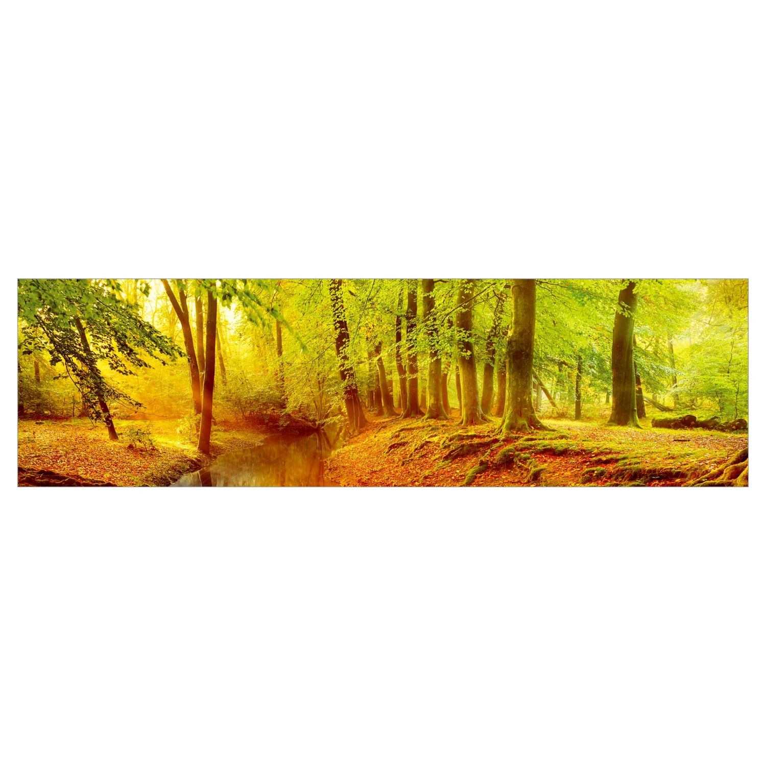 Küchenrückwand - Herbstwald In Orange 9 Küchenrückwand - Herbstwald In Orange – Bild 7