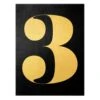 Leinwandbild Gold - Antiqua Zahl 3 In Schwarz 1 Leinwandbild Gold - Antiqua Zahl 3 In Schwarz -Allgemeiner Haushaltswarenladen wallart leinwandbild gold antiqua zahl 3 in schwarz