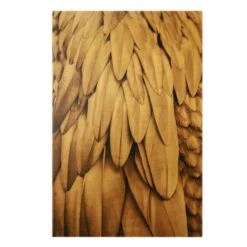 Leinwandbild Gold - Federn In Rosegold In Braun
