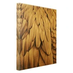 Leinwandbild Gold - Federn In Rosegold In Braun 16 Leinwandbild Gold - Federn In Rosegold In Braun -Allgemeiner Haushaltswarenladen wallart leinwandbild gold federn in rosegold in braun 5