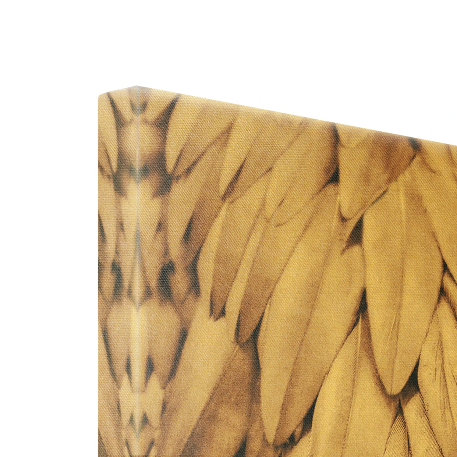 Leinwandbild Gold - Federn In Rosegold In Braun 9 Leinwandbild Gold - Federn In Rosegold In Braun – Bild 7