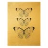 Leinwandbild Gold - Schmetterling Auf Beige In Creme-Beige 1 Leinwandbild Gold - Schmetterling Auf Beige In Creme-Beige -Allgemeiner Haushaltswarenladen wallart leinwandbild gold schmetterling auf beige in creme beige