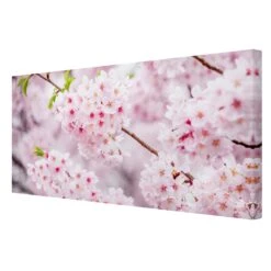 Leinwandbild - Japanische Kirschblüten In Rosa 15 Leinwandbild - Japanische Kirschblüten In Rosa -Allgemeiner Haushaltswarenladen wallart leinwandbild japanische kirschbluten in rosa 5