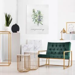 Leinwandbild - Kräuter Illustration Rosmarin In Grün 12 Leinwandbild - Kräuter Illustration Rosmarin In Grün -Allgemeiner Haushaltswarenladen wallart leinwandbild krauter illustration rosmarin in grun 2