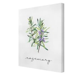 Leinwandbild - Kräuter Illustration Rosmarin In Grün 15 Leinwandbild - Kräuter Illustration Rosmarin In Grün -Allgemeiner Haushaltswarenladen wallart leinwandbild krauter illustration rosmarin in grun 5
