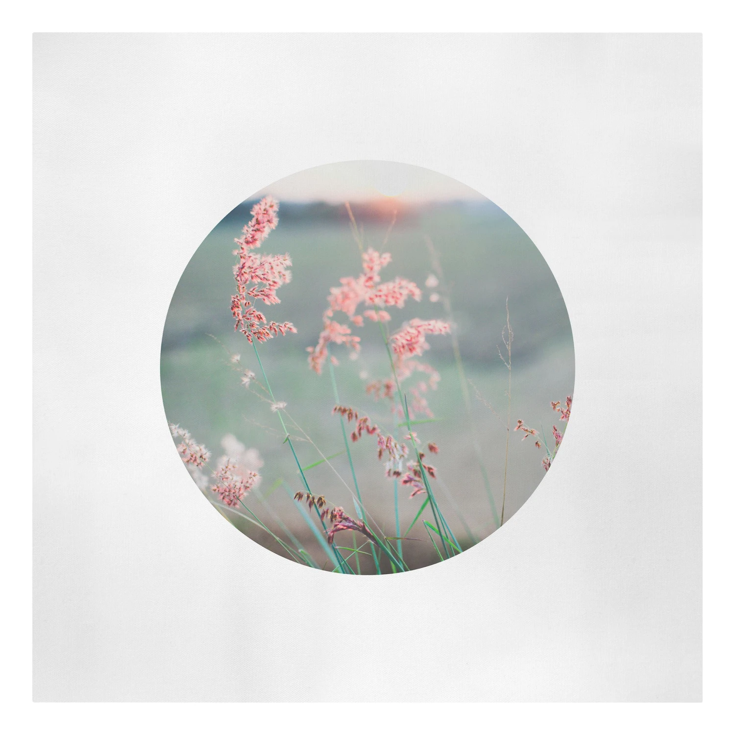 Leinwandbild - Pinke Blumen Im Kreis In Grün 3 Leinwandbild - Pinke Blumen Im Kreis In Grün