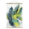 Stoffbild Mit Posterleisten - Tropisches Blattwerk - Banane In Grün 1 Stoffbild Mit Posterleisten - Tropisches Blattwerk - Banane In Grün -Allgemeiner Haushaltswarenladen wallart stoffbild mit posterleisten tropisches blattwerk banane in grun