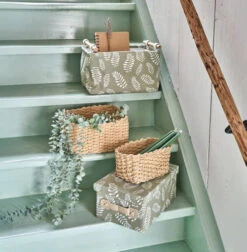 Aufbewahrungsbehälter In Grün 13 Aufbewahrungsbehälter In Grün -Allgemeiner Haushaltswarenladen zeller present aufbewahrungsbehalter in grun 5